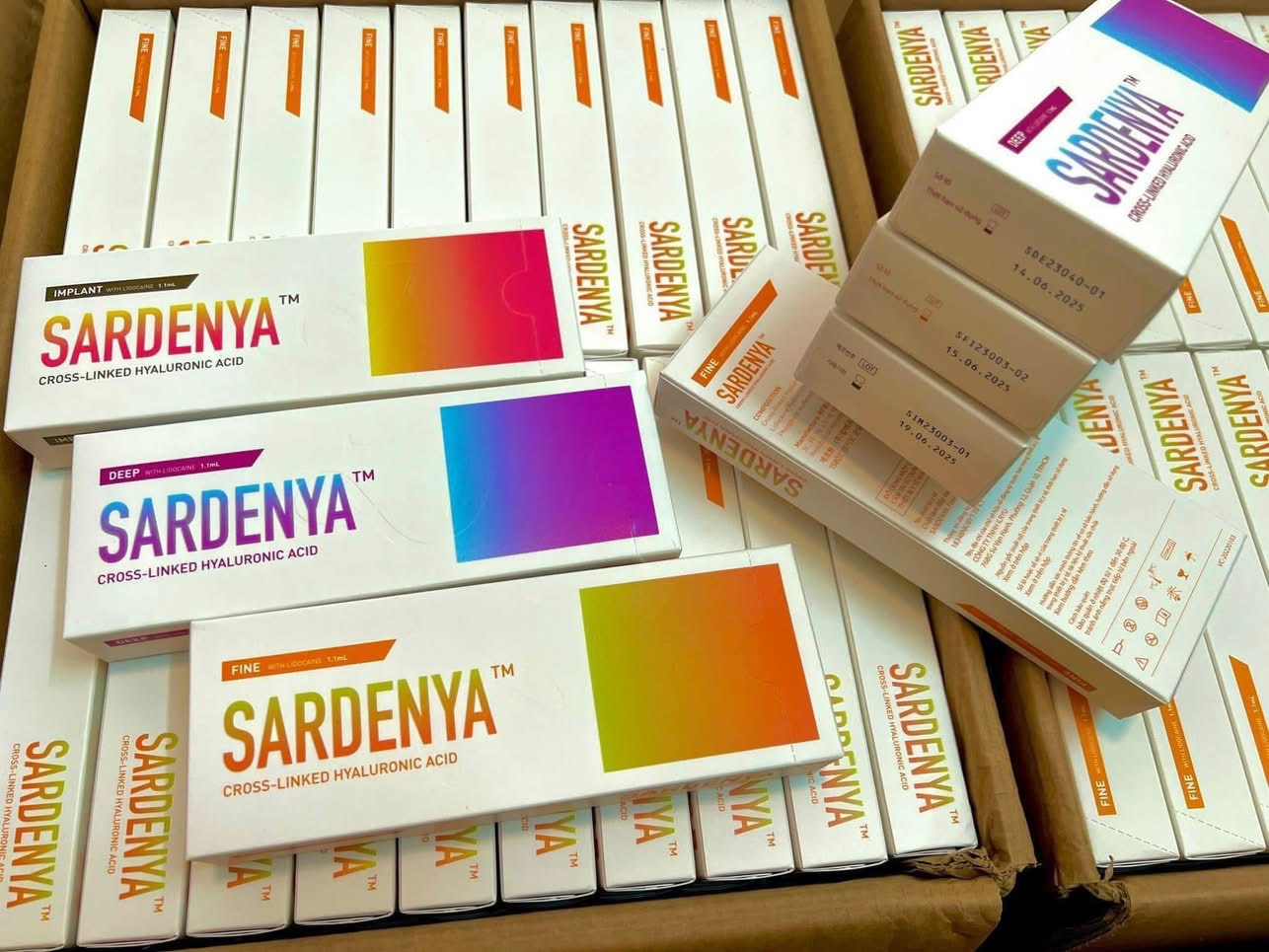 Sardenya filler