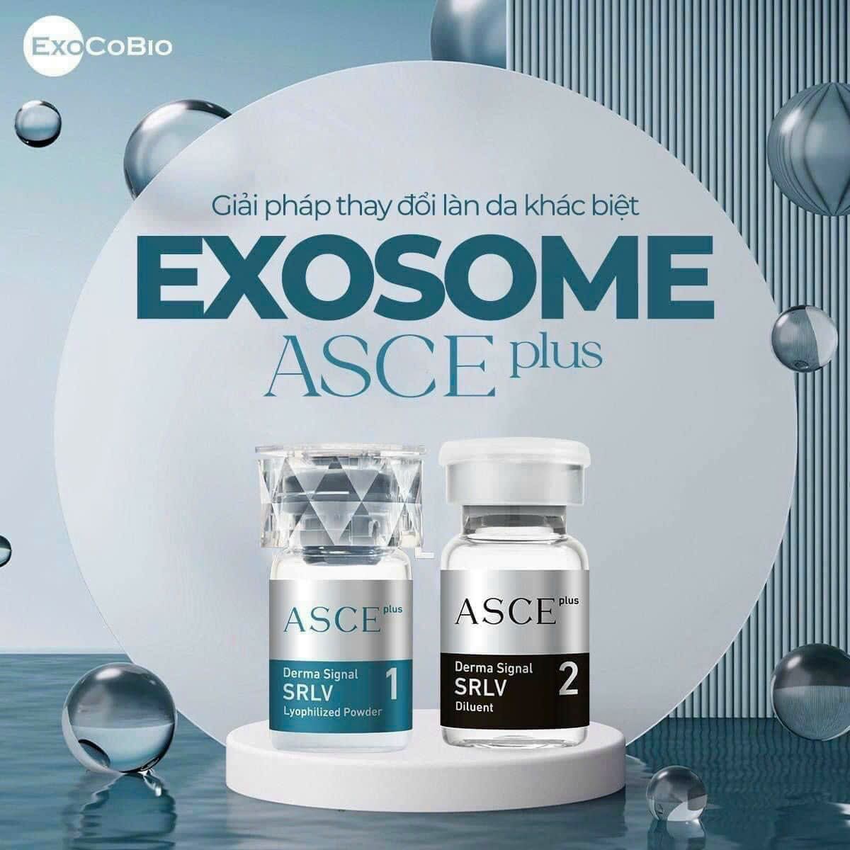 EXOSOME ( ASCE cty)